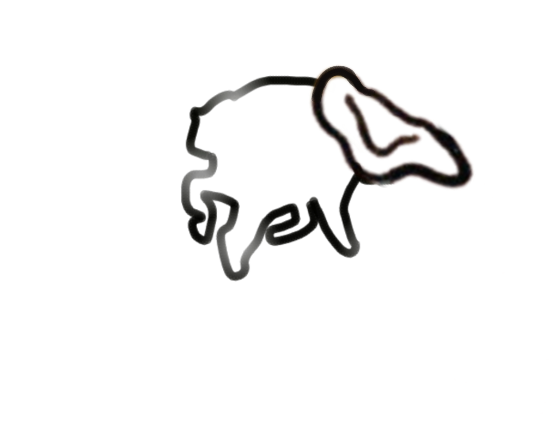 Rakoona